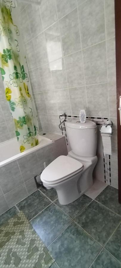 Апартаменти Sobe Lara Доні-Мілановац Екстер'єр фото